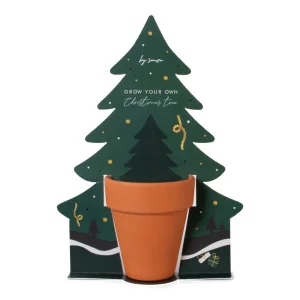 Kerstpakket Dordrecht