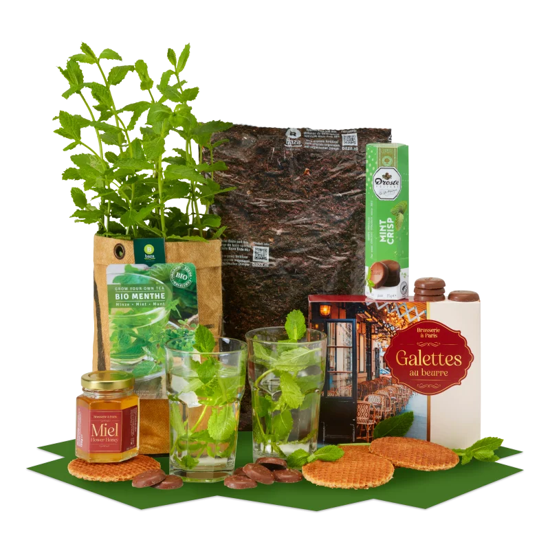 Kerstpakket GREEN