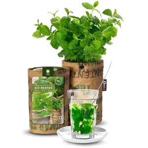 Kerstpakket GREEN