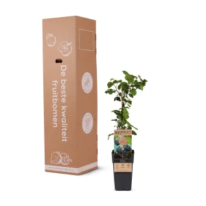 Kerstpakket Jammix van fruitplanten