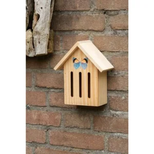 Kerstpakket Kweekset