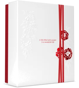 Kerstpakket The Ritual of Ayurveda - Medium Gift Set