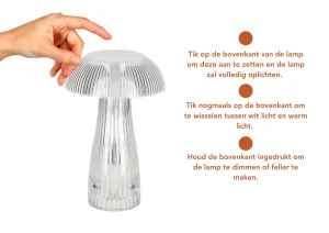 Kerstpakket Verlichting